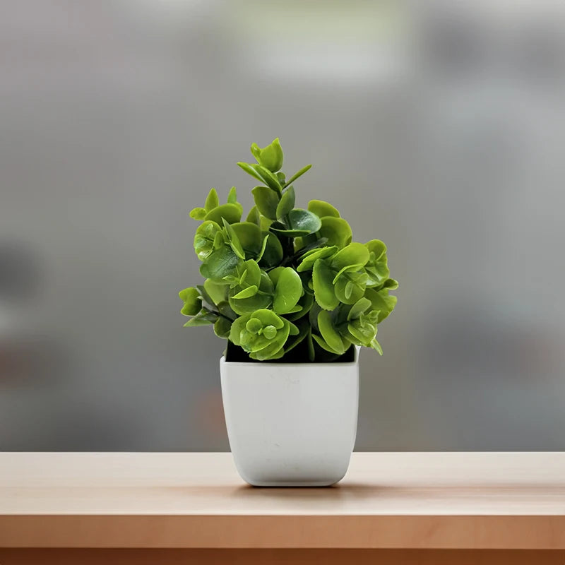 Mini Planta Artificial em Vaso de Cerâmica Decoração Versátil para Casa e Escritório
