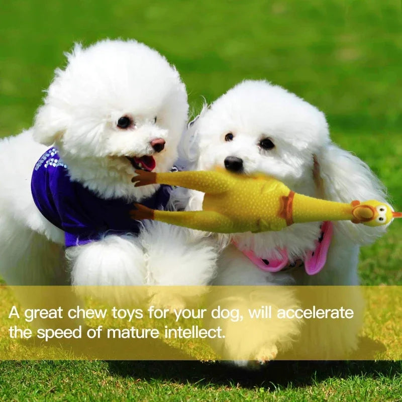 Brinquedo de Borracha para Pets – Galinha Gritante com Som, Antiestresse e Estimulante para Cães