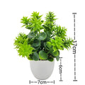 Mini Planta Artificial em Vaso de Cerâmica Decoração Versátil para Casa e Escritório